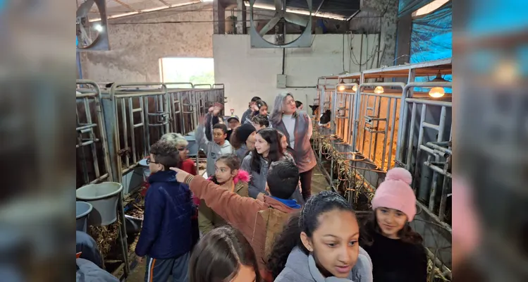 A proposta possibilitou a turma vivenciar uma rica experiência pedagógica.