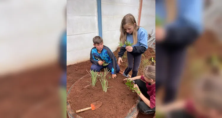 Uma das ações da turma foi a criação de uma horta escolar.