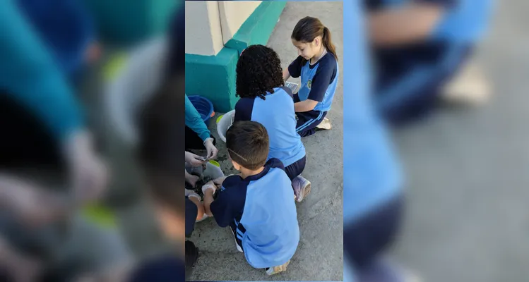 Os estudantes realizaram inúmeras atividades como o plantio de mudas, a germinação de sementes e a utilização dos conteúdos do Vamos Ler.