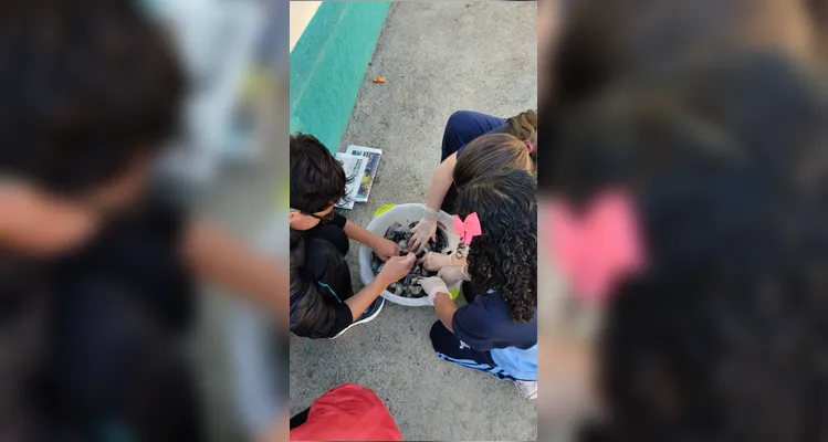 Os estudantes realizaram inúmeras atividades como o plantio de mudas, a germinação de sementes e a utilização dos conteúdos do Vamos Ler.