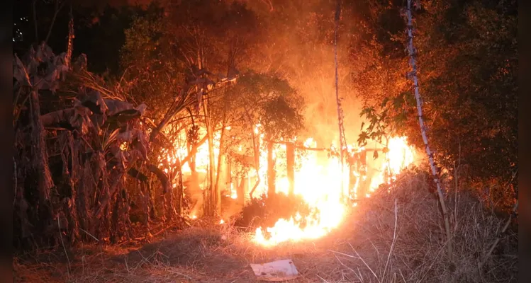 Casas de madeira são destruídas durante incêndio em Ponta Grossa