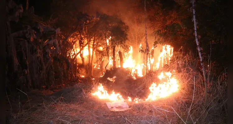 Casas de madeira são destruídas durante incêndio em Ponta Grossa