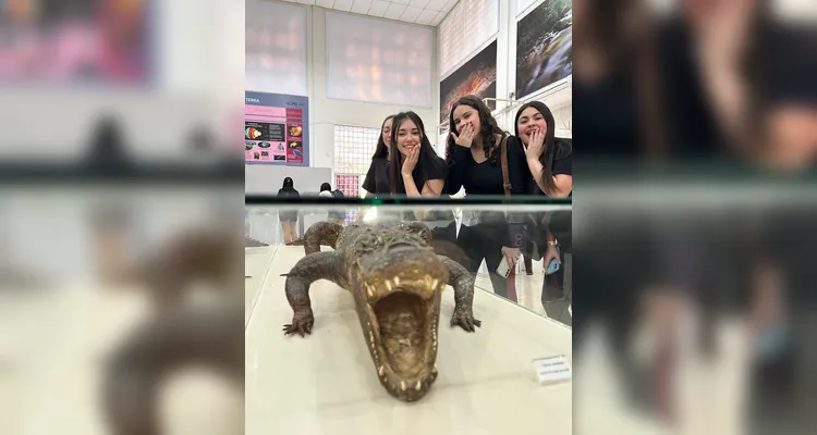 O momento levou importantes aprendizados aos estudantes e possibilitou valiosos diálogos com acadêmicos e professores.