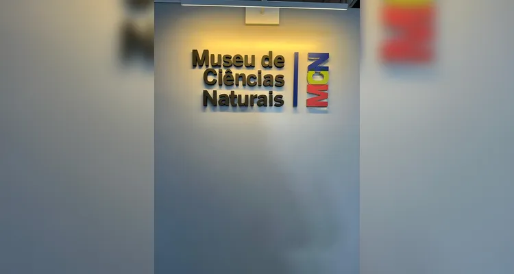 O momento levou importantes aprendizados aos estudantes e possibilitou valiosos diálogos com acadêmicos e professores.