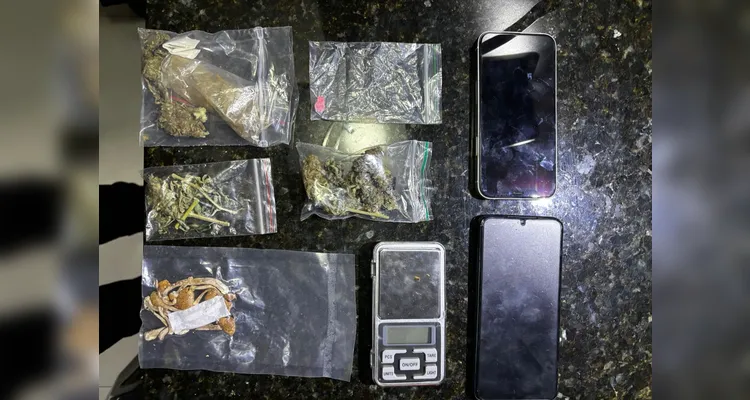 Confira imagens da operação da PCPR contra organização criminosa em PG