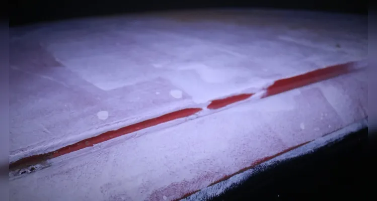 No sistema constava que o carro era da cor vermelha, assim, também foi averiguado que o veículo foi pintado de branco após ser furtado.