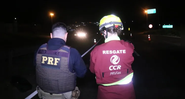 A CCR PRVias e PRF estiveram no local para realizar os procedimentos cabíveis.
