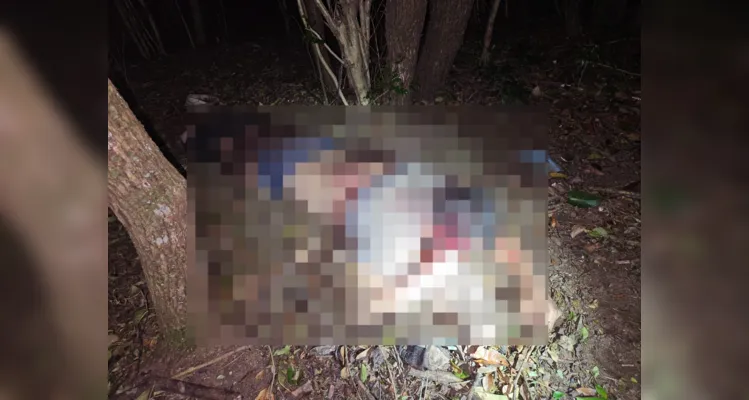 Rapaz é encontrado caído em matagal após ser brutalmente agredido em PG