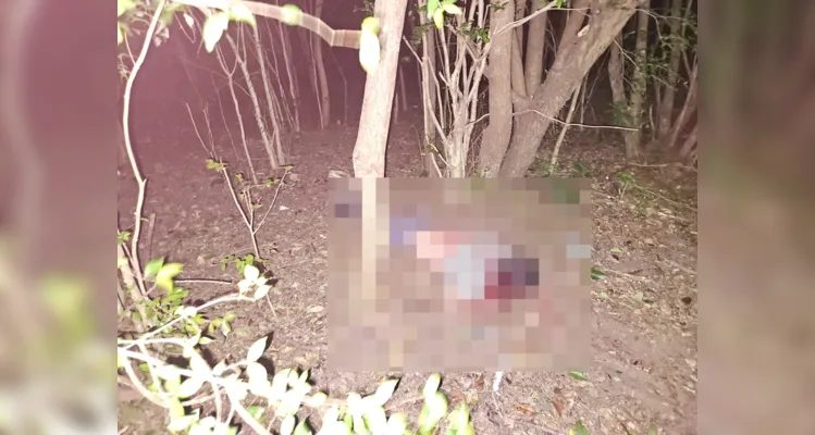 Rapaz é encontrado caído em matagal após ser brutalmente agredido em PG