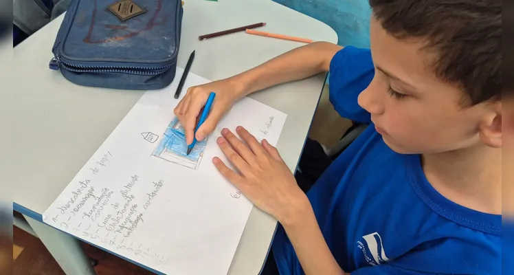 A videoaula foi o ponto de partida para extensas atividades da turma.