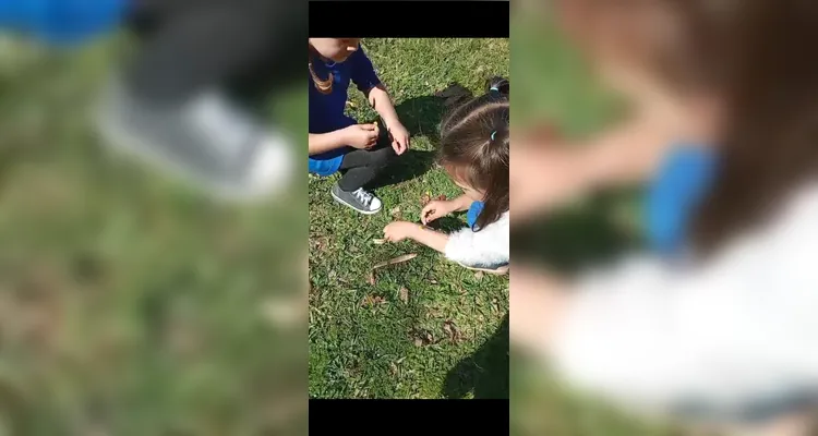 Como proposta, as crianças foram convidadas a explorar o espaço da escola e recolher folhas e flores para confeccionar cartazes.