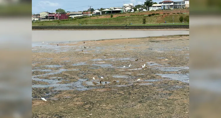 Lago de Olarias seca durante período de estudo para o desassoreamento