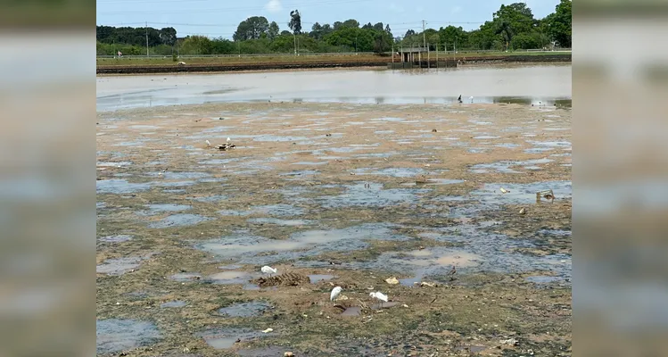 Lago de Olarias seca durante período de estudo para o desassoreamento