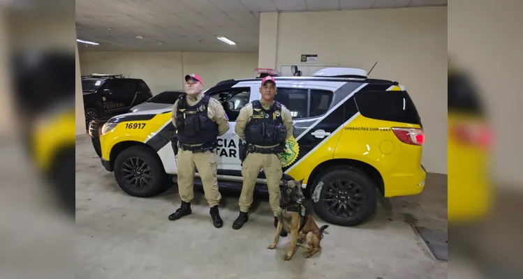 Motorista é preso ao transportar mais de 11 toneladas de maconha na BR-277