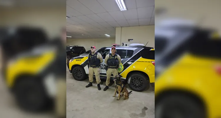 Motorista é preso ao transportar mais de 11 toneladas de maconha na BR-277