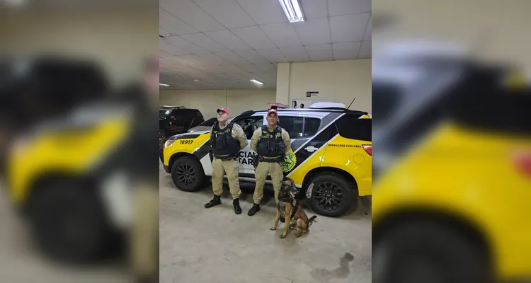 Motorista é preso ao transportar mais de 11 toneladas de maconha na BR-277