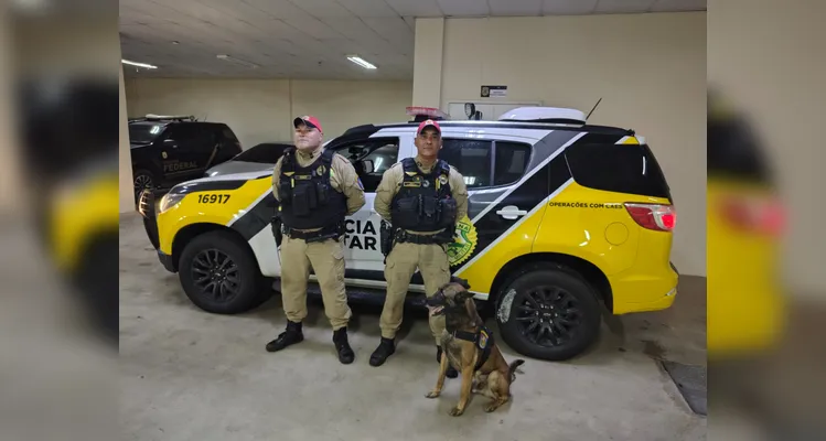 Motorista é preso ao transportar mais de 11 toneladas de maconha na BR-277