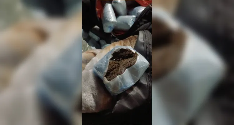 Cão farejador indica malas e PM apreende 14,498 kg de haxixe na PR-151