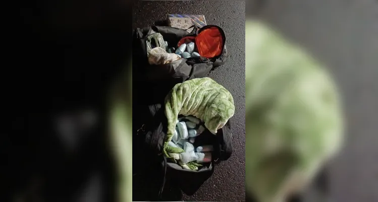 Cão farejador indica malas e PM apreende 14,498 kg de haxixe na PR-151