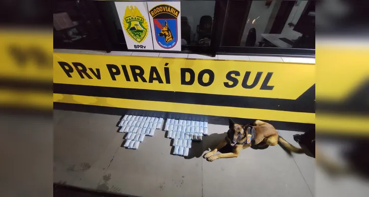 Cão farejador indica malas e PM apreende 14,498 kg de haxixe na PR-151