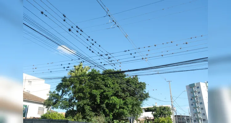 Medo de curtos, poluição visual e desgaste de cabos reforçam debate sobre manutenção e ordenamento