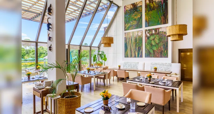 Coluna RC destaca programação especial de Natal e Réveillon do Gran Meliá Iguazú