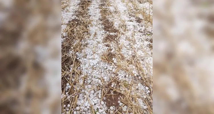 A chuva causou estragos em diversas casas.