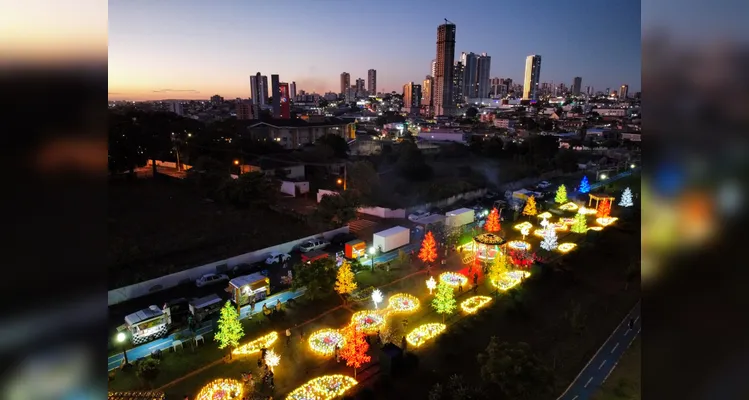Árvores 'pulsam' ao ritmo da trilha sonora