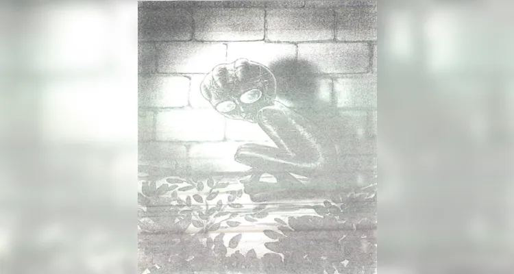 ET de Varginha existiu? Caso completa 30 anos e arquivos apontam que tudo foi fruto de boatos