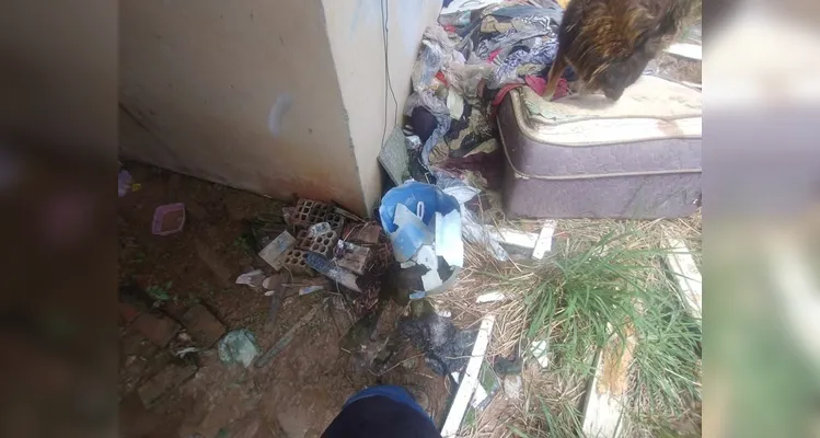 Casa abandonada com escorpiões preocupa moradores do Jardim América