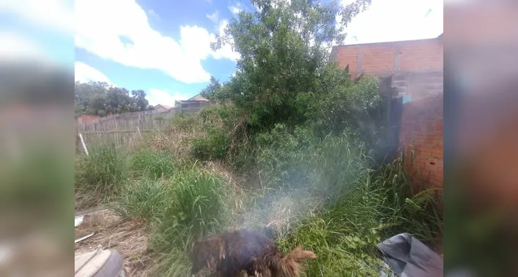 Casa abandonada com escorpiões preocupa moradores do Jardim América