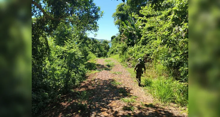 Polícia aplica mais de R$ 700 mil em multas e embarga condomínio irregular no Paraná