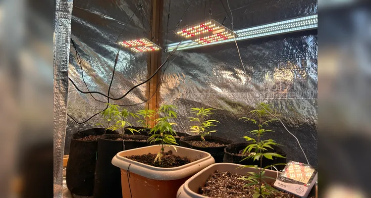 Caso ocorreu no bairro Borsato