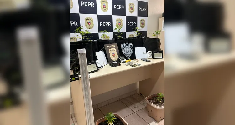 Estufa para cultivo indoor de maconha gourmet é apreendida em PG