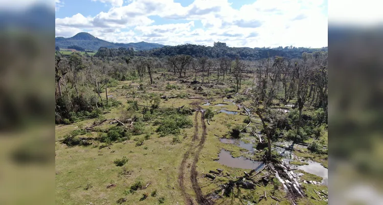 Homem é preso por trabalho análogo à escravidão e desmatamento em Rio Azul