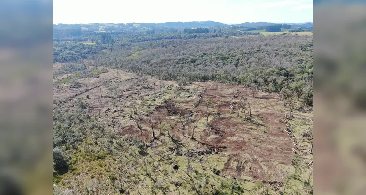 Homem é preso por trabalho análogo à escravidão e desmatamento em Rio Azul