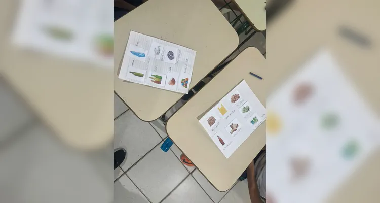 Trabalhos ampliaram ainda mais a conscientização ambiental.