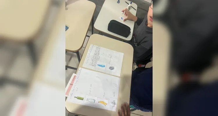 Trabalhos ampliaram ainda mais a conscientização ambiental.