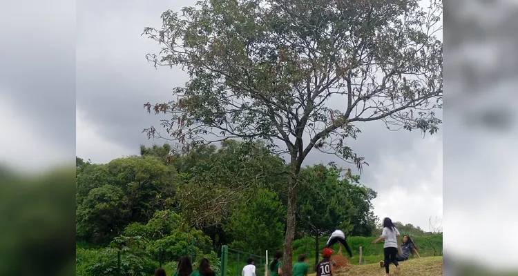 Confira os registros dentro e fora da sala de aula.