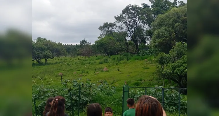 Confira os registros dentro e fora da sala de aula.