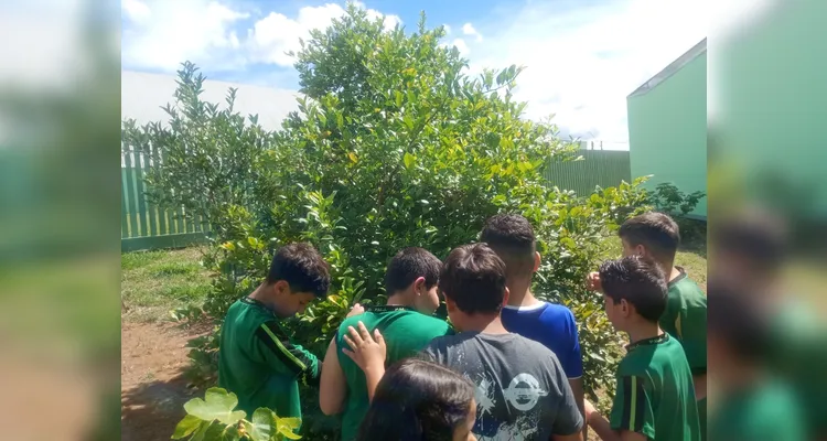 Confira os registros do diversificado trabalho dentro e fora da sala de aula.