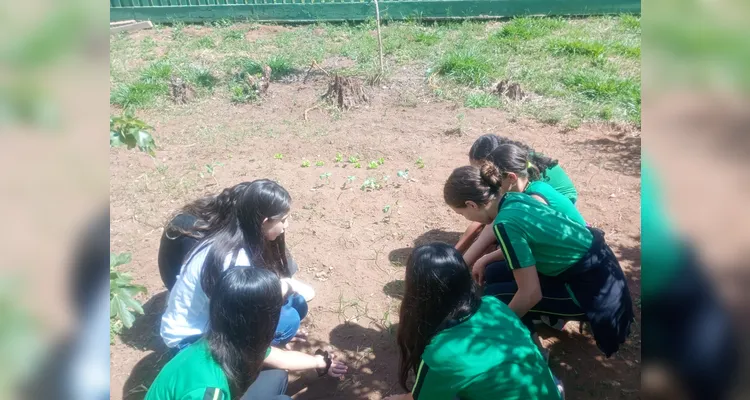 Confira os registros do diversificado trabalho dentro e fora da sala de aula.