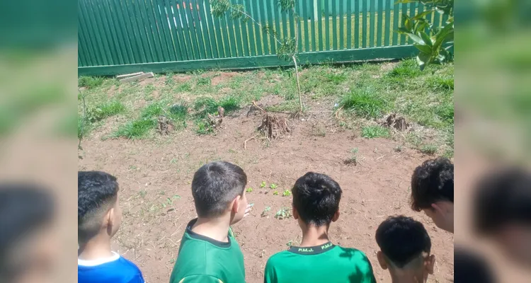 Confira os registros do diversificado trabalho dentro e fora da sala de aula.