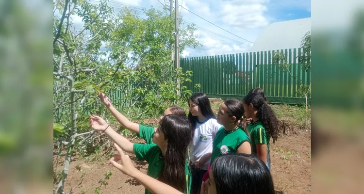 Confira os registros do diversificado trabalho dentro e fora da sala de aula.