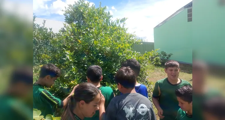 Confira os registros do diversificado trabalho dentro e fora da sala de aula.