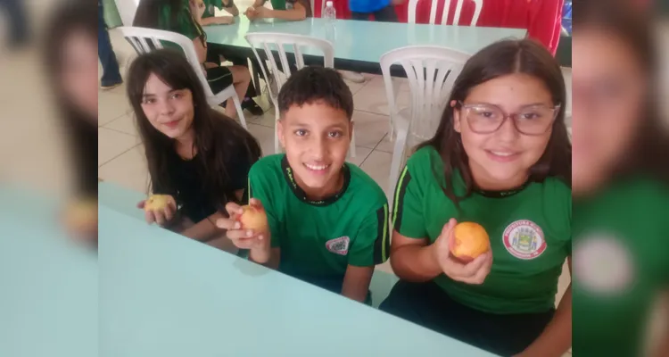 Confira os registros do diversificado trabalho dentro e fora da sala de aula.