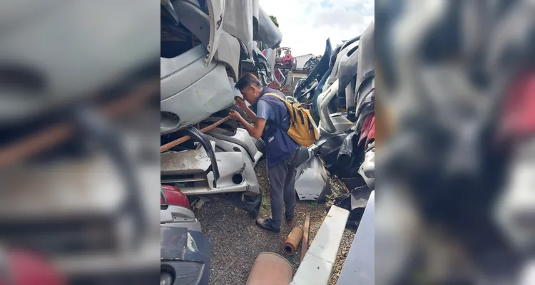 Combate à dengue nos cemitérios terá força-tarefa em Ponta Grossa