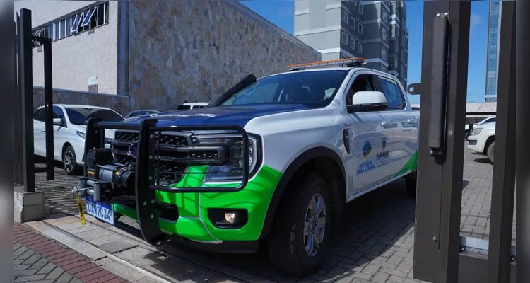 Força-tarefa fiscaliza venda de peixes nativos no comércio de Ponta Grossa