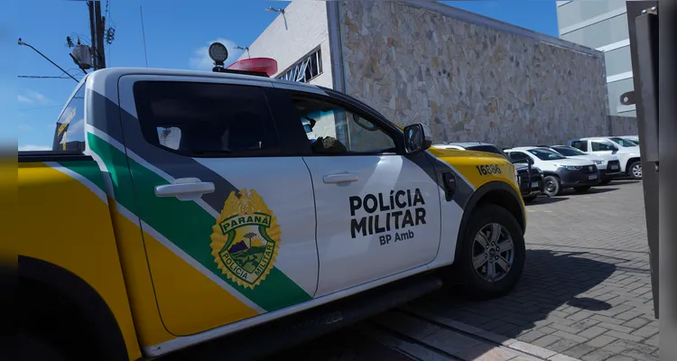 Força-tarefa fiscaliza venda de peixes nativos no comércio de Ponta Grossa