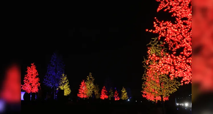 Atrações acontecerão no Parque Linear, na região de Oficinas em 2024